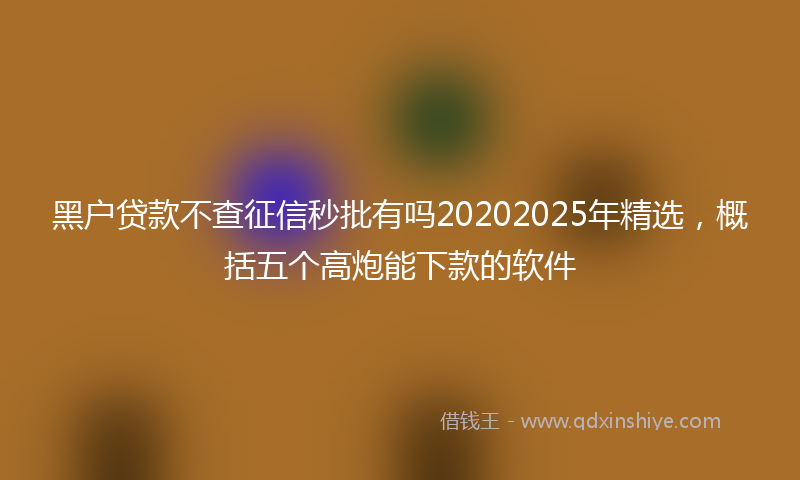 黑户贷款不查征信秒批有吗20202025年精选，概括五个高炮能下款的软件