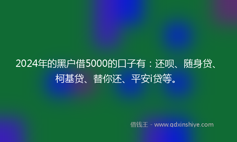 2024年的黑户借5000的口子有：还呗、随身贷、柯基贷、替你还、平安i贷等。