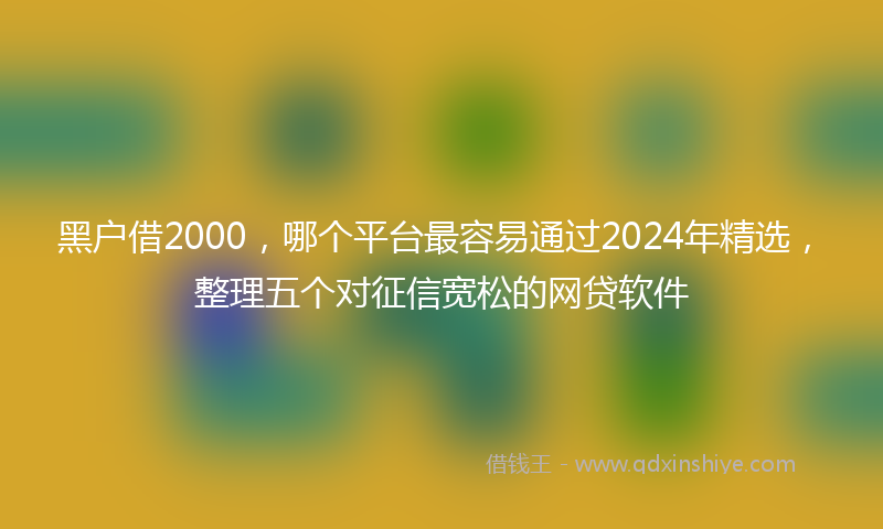 黑户借2000，哪个平台最容易通过2024年精选，整理五个对征信宽松的网贷软件