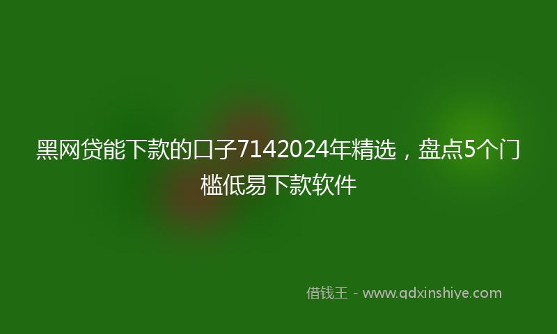黑网贷能下款的口子7142024年精选，盘点5个门槛低易下款软件
