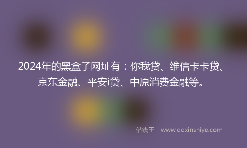2024年的黑盒子网址有：你我贷、维信卡卡贷、京东金融、平安i贷、中原消费金融等。