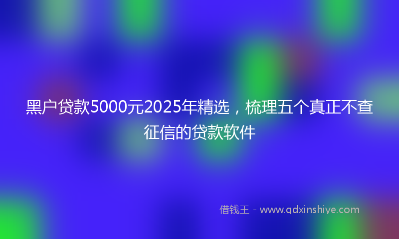 黑户贷款5000元2025年精选，梳理五个真正不查征信的贷款软件