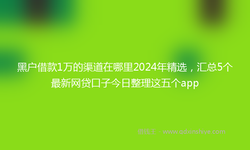 黑户借款1万的渠道在哪里2024年精选，汇总5个最新网贷口子今日整理这五个app