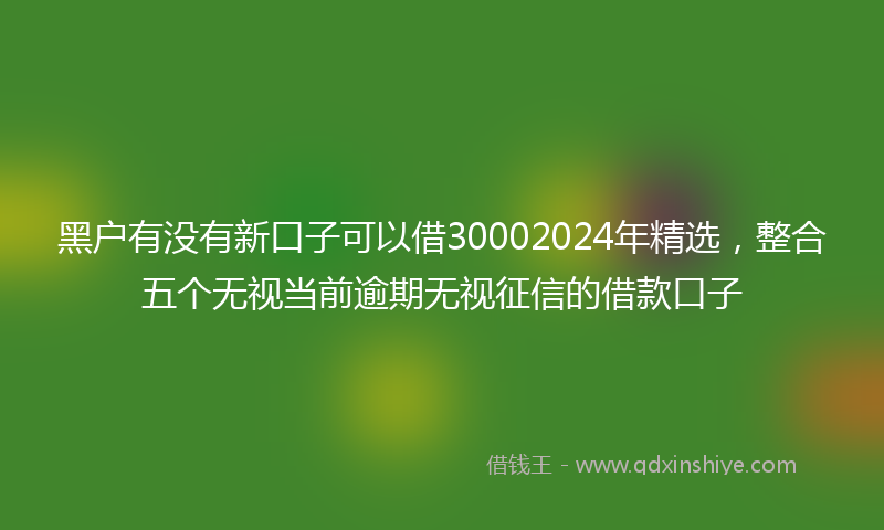黑户有没有新口子可以借30002024年精选，整合五个无视当前逾期无视征信的借款口子