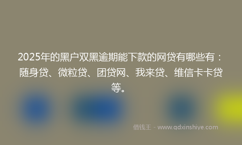 2025年的黑户双黑逾期能下款的网贷有哪些有：随身贷、微粒贷、团贷网、我来贷、维信卡卡贷等。