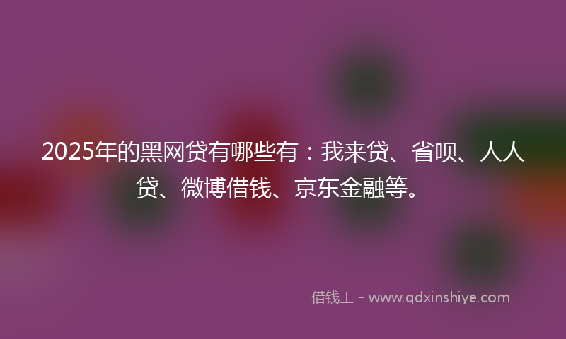 2025年的黑网贷有哪些有：我来贷、省呗、人人贷、微博借钱、京东金融等。