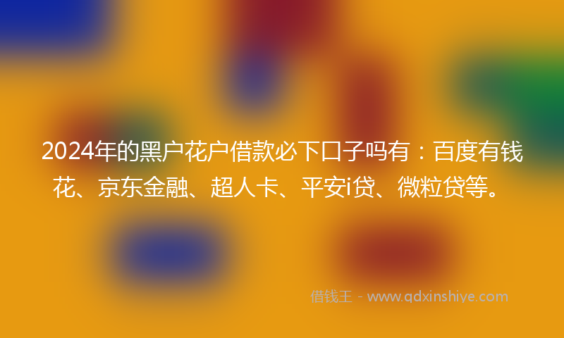 2024年的黑户花户借款必下口子吗有：百度有钱花、京东金融、超人卡、平安i贷、微粒贷等。