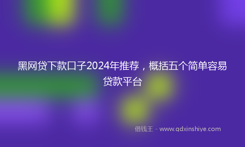 黑网贷下款口子2024年推荐，概括五个简单容易贷款平台