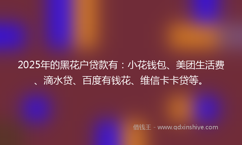 2025年的黑花户贷款有：小花钱包、美团生活费、滴水贷、百度有钱花、维信卡卡贷等。