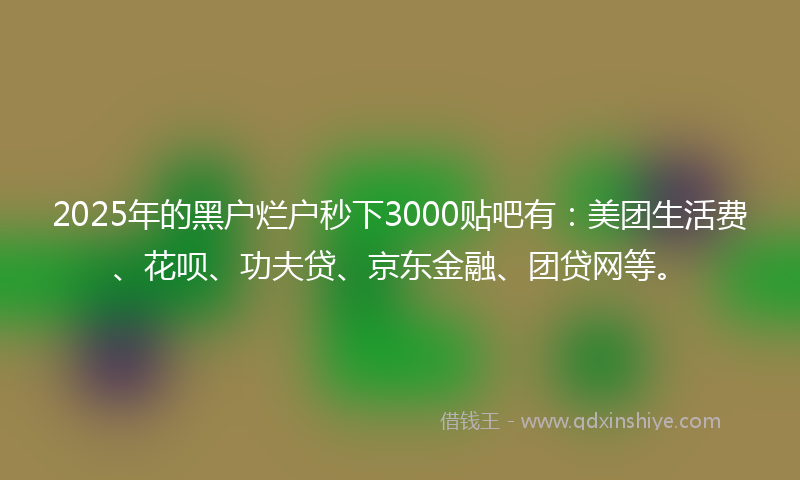 2025年的黑户烂户秒下3000贴吧有：美团生活费、花呗、功夫贷、京东金融、团贷网等。
