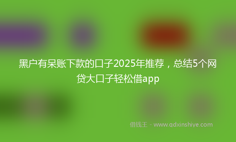 黑户有呆账下款的口子2025年推荐，总结5个网贷大口子轻松借app