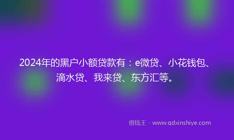 2024年的黑户小额贷款有：e微贷、小花钱包、滴水贷、我来贷、东方汇等。