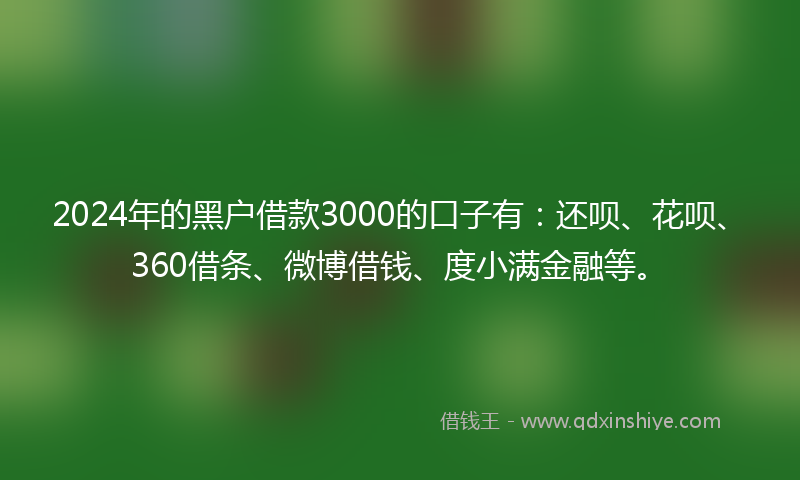 2024年的黑户借款3000的口子有：还呗、花呗、360借条、微博借钱、度小满金融等。