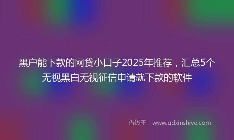 黑户能下款的网贷小口子2025年推荐，汇总5个无视黑白无视征信申请就下款的软件
