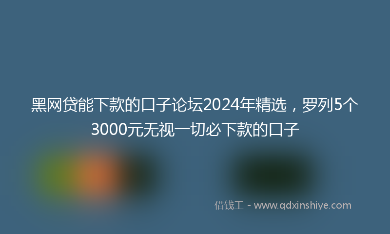 黑网贷能下款的口子论坛2024年精选，罗列5个3000元无视一切必下款的口子