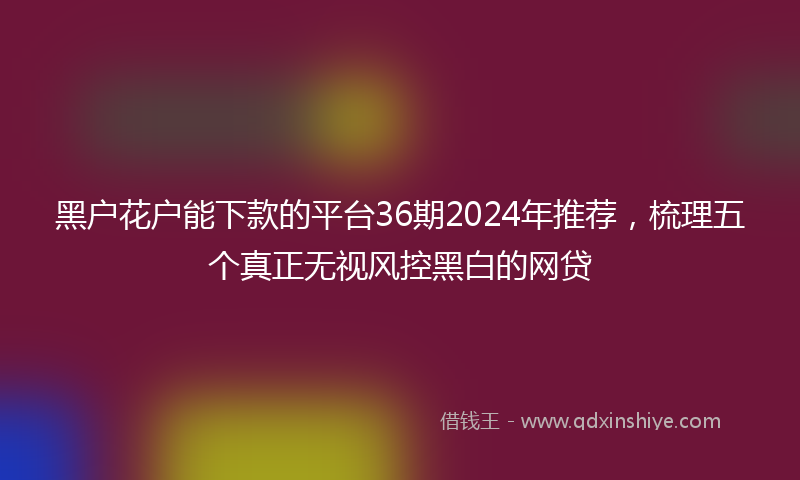 黑户花户能下款的平台36期2024年推荐，梳理五个真正无视风控黑白的网贷
