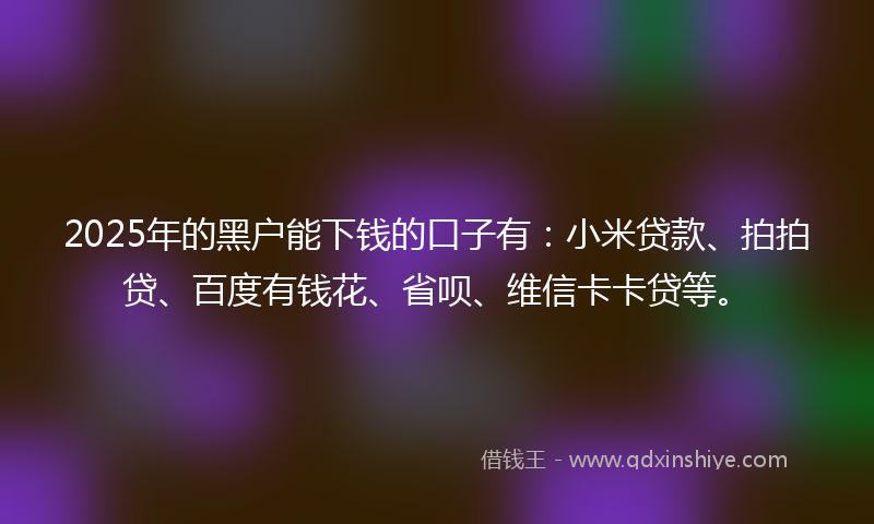 2025年的黑户能下钱的口子有：小米贷款、拍拍贷、百度有钱花、省呗、维信卡卡贷等。