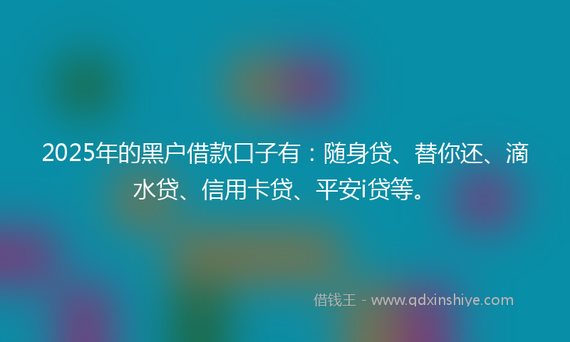 2025年的黑户借款口子有：随身贷、替你还、滴水贷、信用卡贷、平安i贷等。