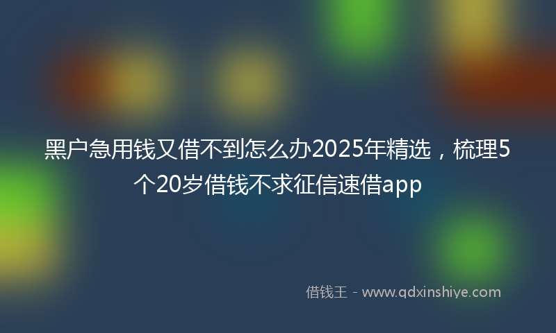 黑户急用钱又借不到怎么办2025年精选，梳理5个20岁借钱不求征信速借app