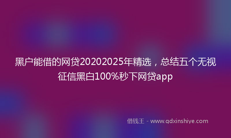 黑户能借的网贷20202025年精选，总结五个无视征信黑白100%秒下网贷app