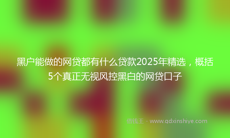 黑户能做的网贷都有什么贷款2025年精选，概括5个真正无视风控黑白的网贷口子