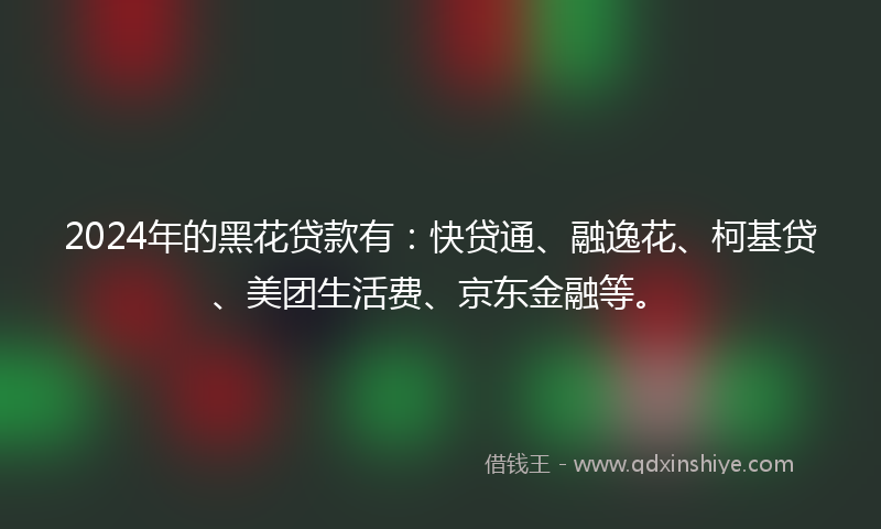 2024年的黑花贷款有：快贷通、融逸花、柯基贷、美团生活费、京东金融等。