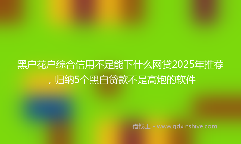 黑户花户综合信用不足能下什么网贷2025年推荐，归纳5个黑白贷款不是高炮的软件