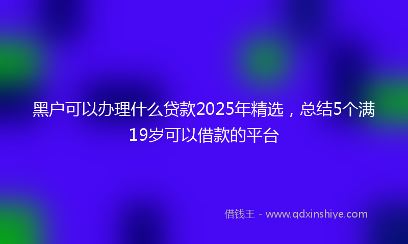 黑户可以办理什么贷款2025年精选，总结5个满19岁可以借款的平台