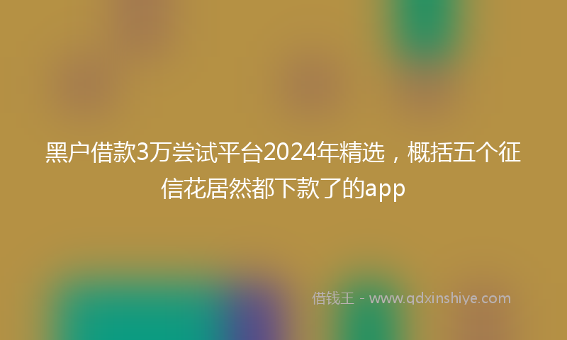 黑户借款3万尝试平台2024年精选，概括五个征信花居然都下款了的app