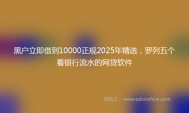 黑户立即借到10000正规2025年精选，罗列五个看银行流水的网贷软件