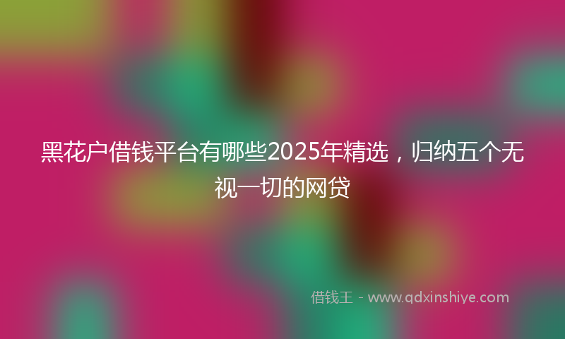 黑花户借钱平台有哪些2025年精选，归纳五个无视一切的网贷