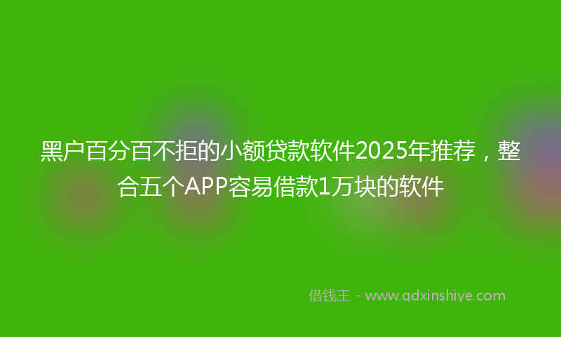 黑户百分百不拒的小额贷款软件2025年推荐，整合五个APP容易借款1万块的软件