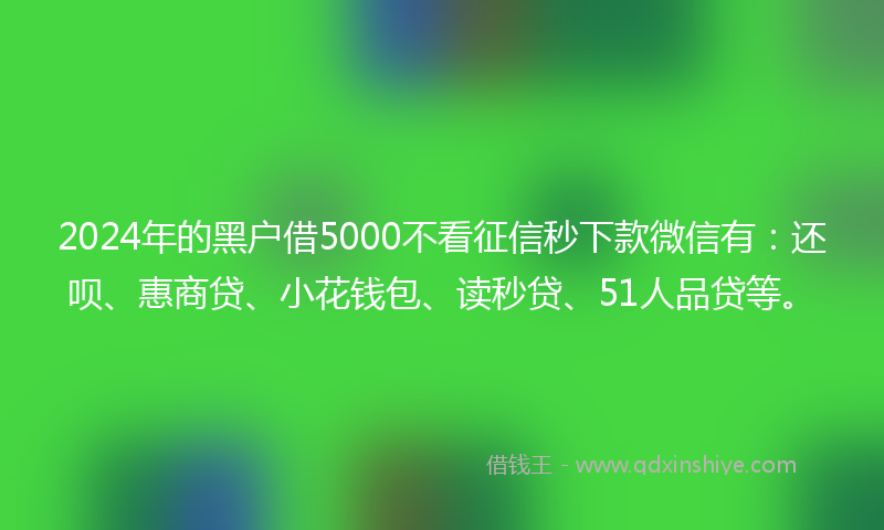 2024年的黑户借5000不看征信秒下款微信有：还呗、惠商贷、小花钱包、读秒贷、51人品贷等。