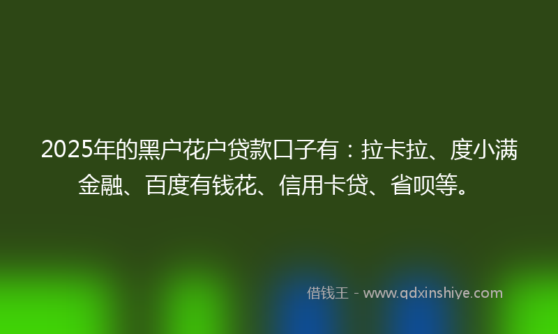 2025年的黑户花户贷款口子有：拉卡拉、度小满金融、百度有钱花、信用卡贷、省呗等。