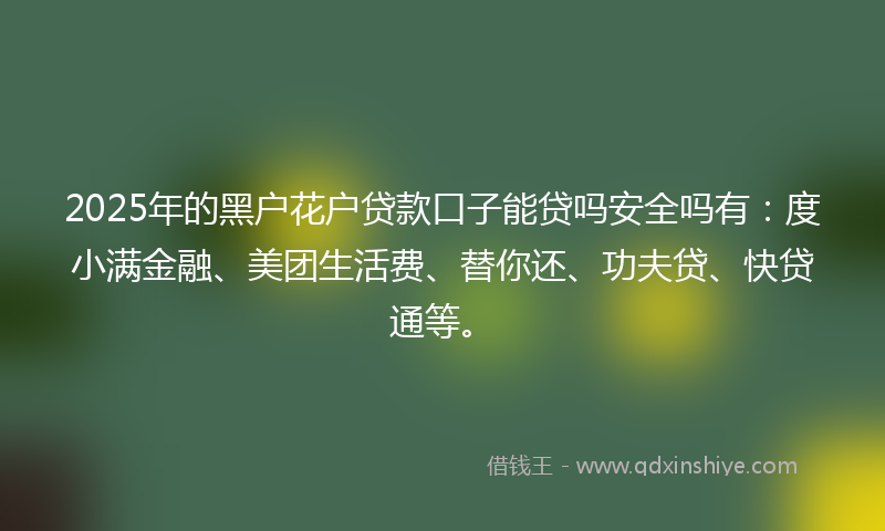 2025年的黑户花户贷款口子能贷吗安全吗有：度小满金融、美团生活费、替你还、功夫贷、快贷通等。