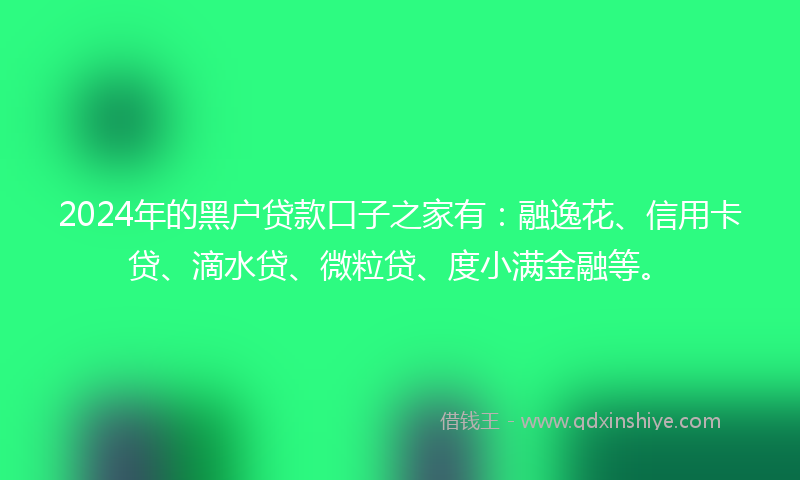 2024年的黑户贷款口子之家有：融逸花、信用卡贷、滴水贷、微粒贷、度小满金融等。