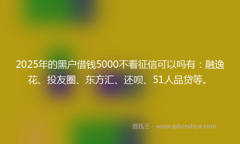 2025年的黑户借钱5000不看征信可以吗有：融逸花、投友圈、东方汇、还呗、51人品贷等。