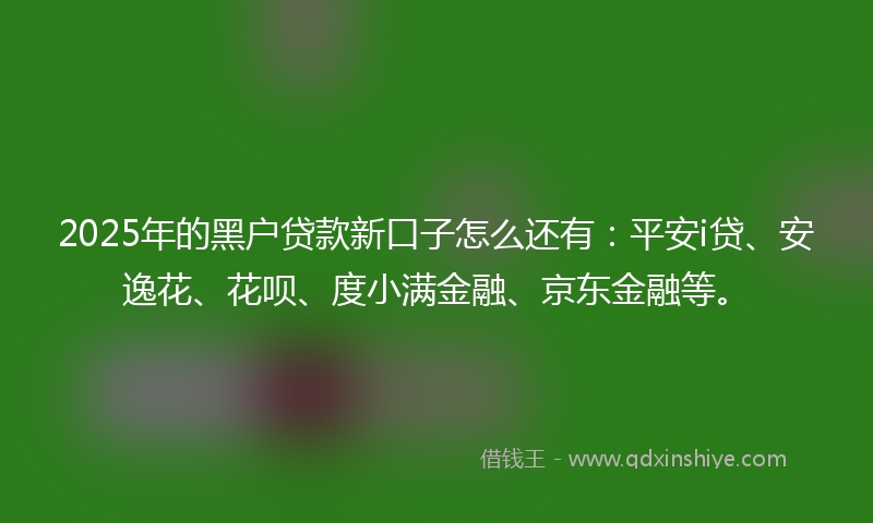 2025年的黑户贷款新口子怎么还有：平安i贷、安逸花、花呗、度小满金融、京东金融等。