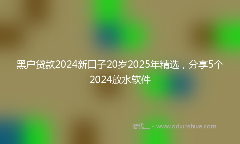 黑户贷款2024新口子20岁2025年精选，分享5个2024放水软件