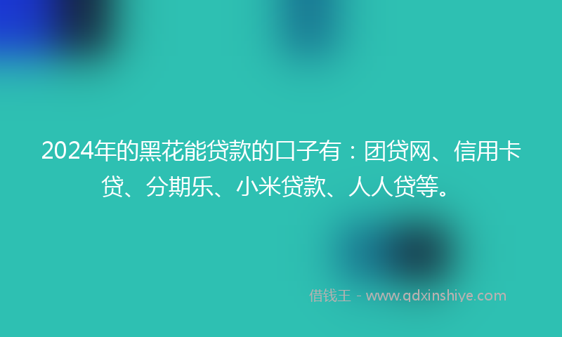 2024年的黑花能贷款的口子有：团贷网、信用卡贷、分期乐、小米贷款、人人贷等。