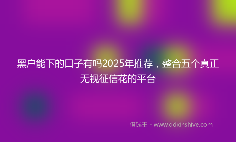 黑户能下的口子有吗2025年推荐，整合五个真正无视征信花的平台