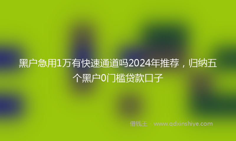 黑户急用1万有快速通道吗2024年推荐，归纳五个黑户0门槛贷款口子
