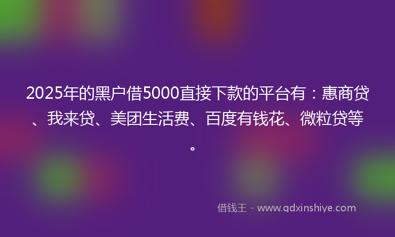 2025年的黑户借5000直接下款的平台有：惠商贷、我来贷、美团生活费、百度有钱花、微粒贷等。