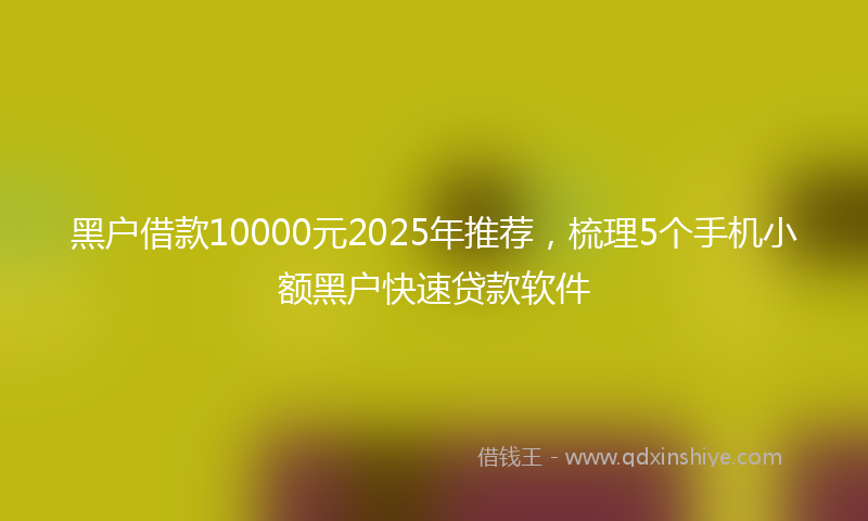 黑户借款10000元2025年推荐，梳理5个手机小额黑户快速贷款软件