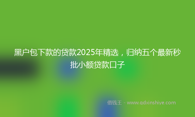 黑户包下款的贷款2025年精选，归纳五个最新秒批小额贷款口子