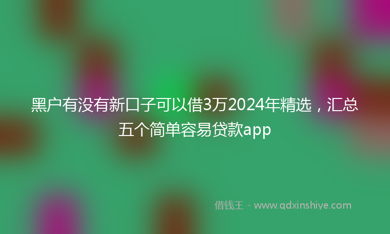 黑户有没有新口子可以借3万2024年精选，汇总五个简单容易贷款app