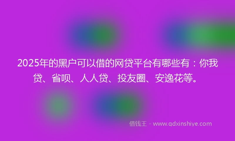 2025年的黑户可以借的网贷平台有哪些有：你我贷、省呗、人人贷、投友圈、安逸花等。