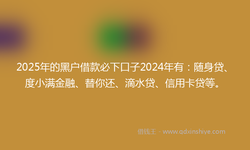 2025年的黑户借款必下口子2024年有：随身贷、度小满金融、替你还、滴水贷、信用卡贷等。