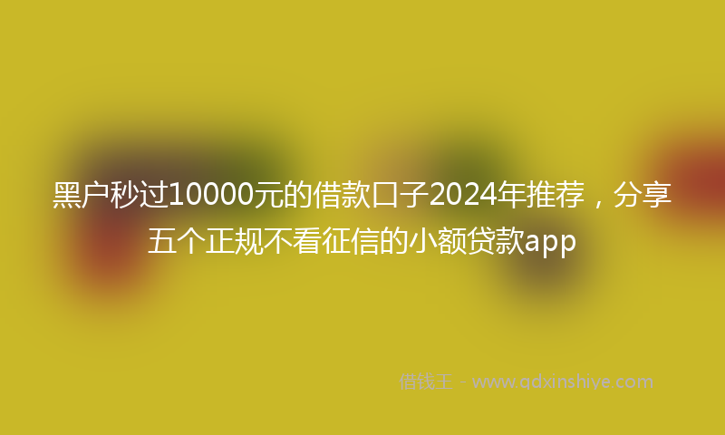 黑户秒过10000元的借款口子2024年推荐，分享五个正规不看征信的小额贷款app