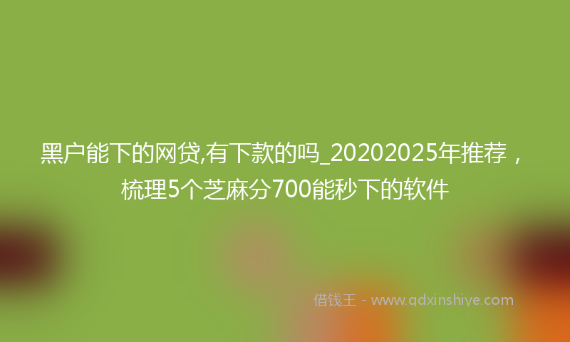 黑户能下的网贷,有下款的吗_20202025年推荐，梳理5个芝麻分700能秒下的软件